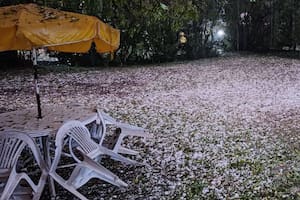 Temporal en Mar del Plata.