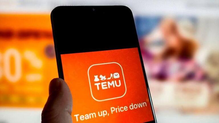 Tras la denuncia de Mercado Libre, Temu solicitó una medida urgente a la Justicia - LA NACION