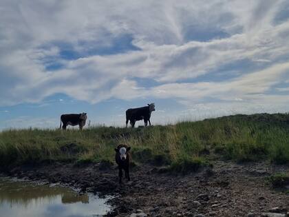 "Tenemos esperanza que la situación mejore", señaló Fernando Blasco