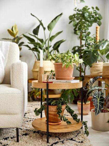 Tener una idea previa de cómo decorar el espacio permitirá distribuir la vegetación y el mobiliario del mejor modo posible.