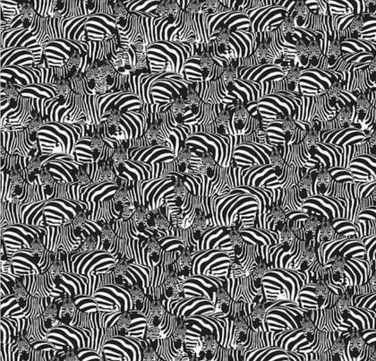 Tenés que encontrar el piano entre las cebras de la imagen.