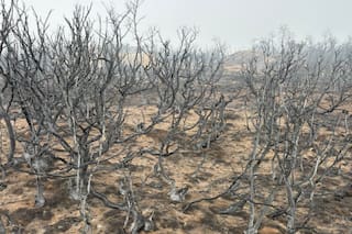 El fuego en Chubut llegó al campo de un reconocido dirigente rural