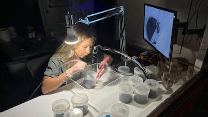 Teni es una apasionada de las arañas.