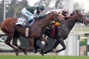 Turf: Teodisio Joy está listo para afrontar todos los desafíos del Jockey Club