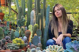 ¿Cómo cuidar las suculentas y resolver los problemas más comunes?