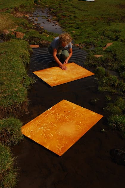Teresa Pereda es artista visual y cuenta que su lugar en el mundo es Mitikile