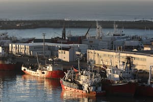 Tres gremios paralizan gran parte de la actividad del puerto de Mar del Plata