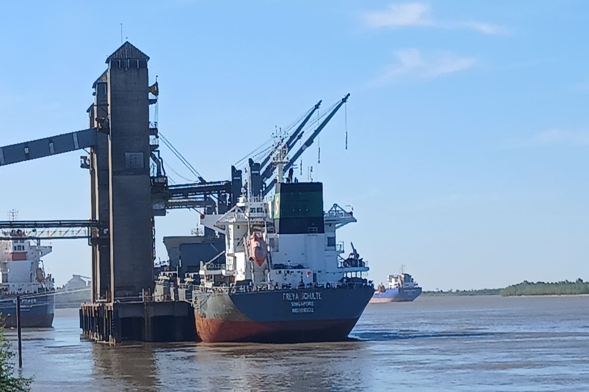 Dois produtos agrícolas que a Argentina exporta internacionalmente e espera-se mais dólares