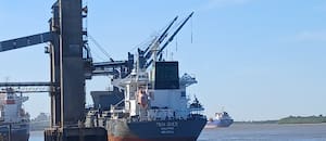 Dos productos del agro que exporta la Argentina están en niveles máximos a nivel internacional y se esperan más dólares