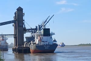 Dos productos del agro que exporta la Argentina están en niveles máximos a nivel internacional y se esperan más dólares