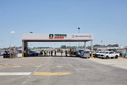 Terminal Zárate recibe unas 300 unidades de la marca japonesa por día