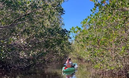 Terra Ceia State Park cuenta con más de 8 millones de metro cuadrado