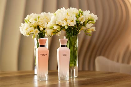 Terracota Musk y Nude Musk, de Adolfo Dominguez, huelen distinto en cada piel y están diseñados con ingredientes naturales y materiales ecosostenibles.