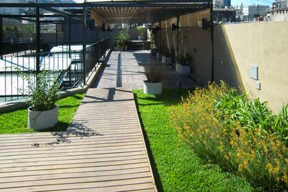 Terraza verde en Medanito