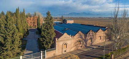 Terrazas de los Andes