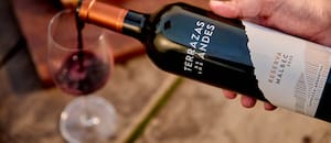 Entre las siete mejores bodegas del mundo: elaboran los mejores vinos de altura en la cordillera de los Andes