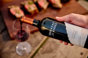 Entre las siete mejores bodegas del mundo: elaboran los mejores vinos de altura en la cordillera de los Andes
