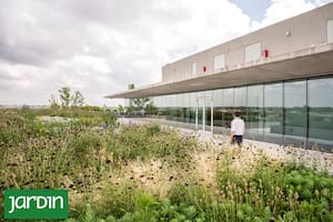 Terrazas verdes de bajo mantenimiento en la sede de Disney en Argentina