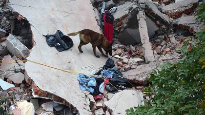 Terremoto en México: miles de rescatistas y ciudadanos trabajan para conseguir el milagro y rescatar gente