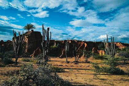 Terreno extenso con gran potencial ecológico y económico