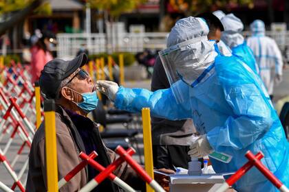 Test de coronavirus en Qingdao, en la provincia oriental de Shandong, China