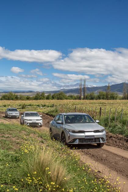 Test drive del Nuevo Kia K3 en Valle de Uco.