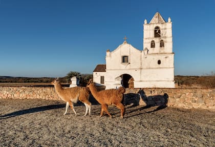 Testigo de la época colonial: "San Pedrito" o San Pedro Viejo.