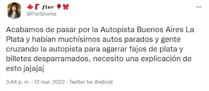 Testigos de la "lluvia" de billetes en plena autopista Buenos Aires-La Plata (Foto: Twiiter)