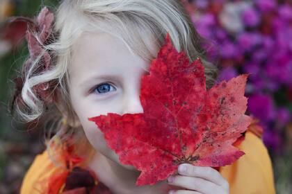 Texas recibirá el otoño a mediados del mes de octubre
