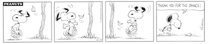 "Thank you for the dance", otra tira que muestra la delicadeza de Charles M. Schulz