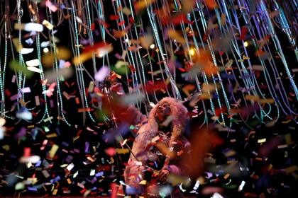 The Flaming Lips