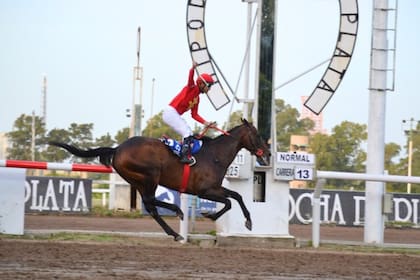 The Gladiator's Hat cruza el disco del Gran Premio Dardo Rocha (G1) con varios cuerpos a favor y Eduardo Ortega Pavón celebrando en sus estribos
