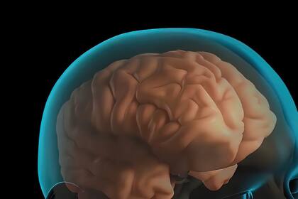 La falta de sueño es uno de los agentes más dañinos en el funcionamiento cerebral