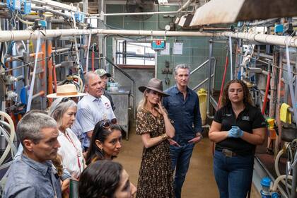 The Representation Project es la principal organización en la igualdad de género en California; utiliza el cine y los medios de comunicación como catalizadores de la transformación cultural