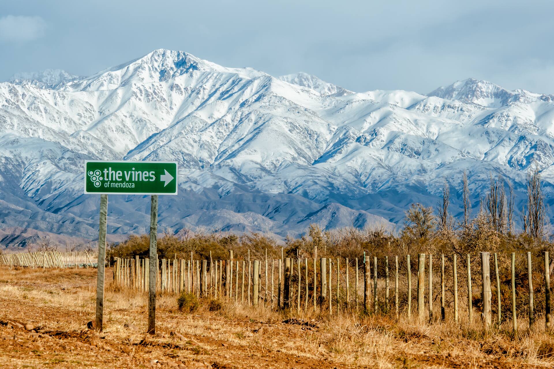 The Vines es una de las bodegas premium de Los Chacayes.
