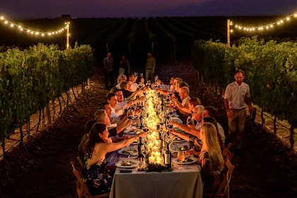 The Vines Resort & Spa está rodeado de viñas