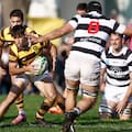 "Este equipo se merece cosas grandes": Belgrano cambió de actitud y quiere dar pelea para estar en los playoffs