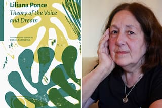 Premiaron en Estados Unidos el libro de poemas “Teoría de la voz y el sueño”, de Liliana Ponce