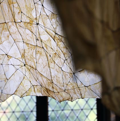 Thibault Phillip deja secar las tripas bajo técnicas específicas, los refrigera y luego, aprovecha el colágeno natural para adherir piezas sin agregados sintéticos