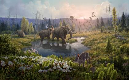 Así habrían sido los mastodontes que caminaron por América Central y del Norte (Beth Zaiken vía AP)