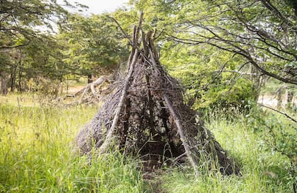Chozas hechas con leña de los árboles nativos reconstruidas por científicos del CADIC para demostrar su durabilidad: seis años.