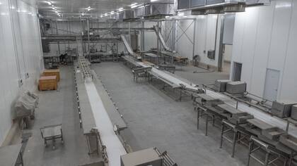 Tiene capacidad para faenar hasta 40.000 cerdos por mes, despostar más de cuatro millones de kilos de carne, congelar 140.000 kilos diarios y almacenar 1,6 millones de kilos