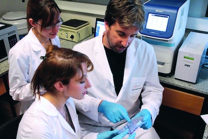 Tiene varios premios: al mejor investigador joven en Pediatría de los EE.UU. (2006), y a la excelencia en investigación pediátrica por parte de la Sociedad de Investigación Pediátrica norteamericana