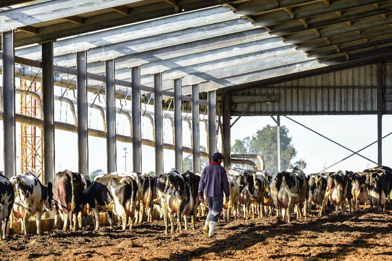 Grupo Chiavassa: un siglo de innovación y tradición en la producción láctea