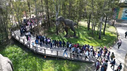 Tierra de Dinos