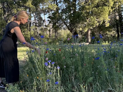 Tierra de brotes, la plantación de Antonia Beale