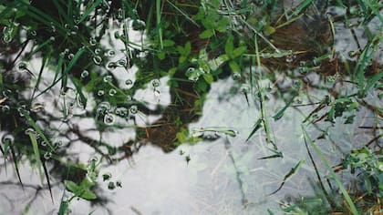 Tierra y agua en las fotos de Matilde Marín