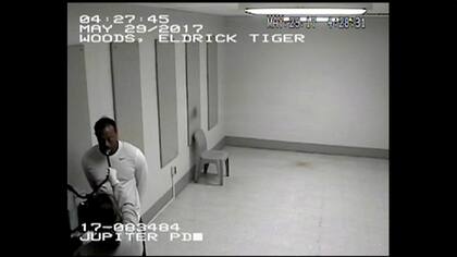 Tiger, esposado, es sometido a estudios en el departamento de policía de Jupiter, en Florida