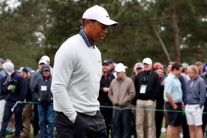 Tiger, frustrado e imposibilitado de pegar otro zarpazo