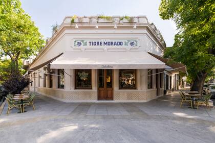 Tigre Morado, en Palermo.